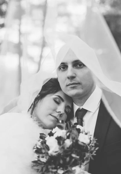 Glückliche Braut und Bräutigam unter einem Schleier. — Stockfoto