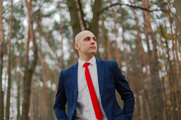 Bonito homem elegante em uma jaqueta no outono na floresta . — Fotografia de Stock