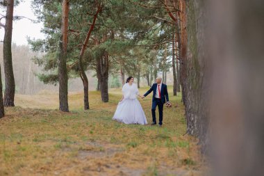 Mutlu gelin ve damat sonbaharda el ele tutuşarak ormanda yürürler..