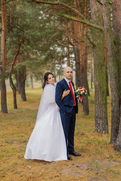 Novia y novio felices están de pie en el bosque de otoño tomados de la mano . — Foto de Stock