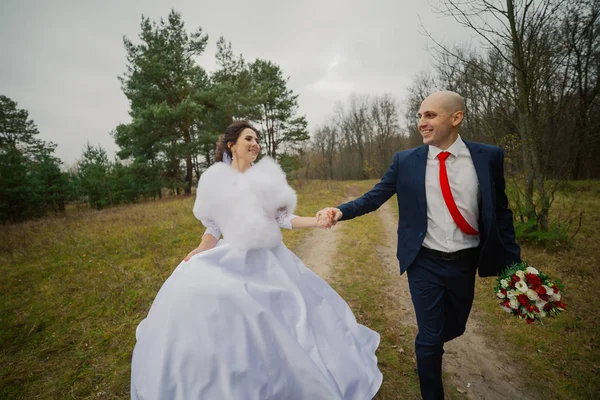 快乐的新娘和新郎手牵着手，在秋天的树林里漫步. — 图库照片