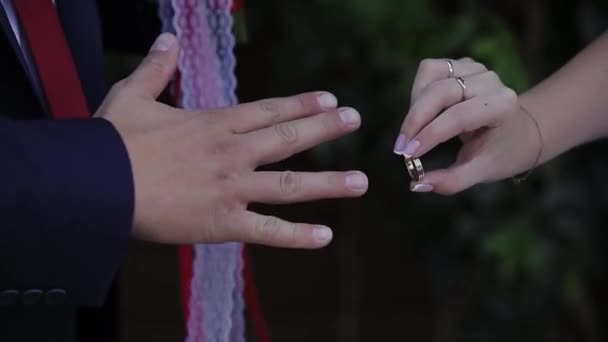 Ženich dává snubní prsten na prstě nevěsty. manželství ruce s kroužky. Nevěsta a ženich vyměnit snubní prsteny. — Stock video