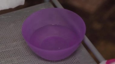 Profesyonel güzellik uzmanı pamuk pedleri nemlendiriyor.