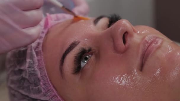 Professionele schoonheidsspecialiste die met een kwast een masker op het gezicht van de klant aanbrengt. — Stockvideo