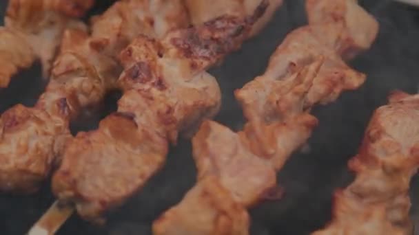 The process of cooking barbecue on fire in winter weather on a background of snow. — Stock Video