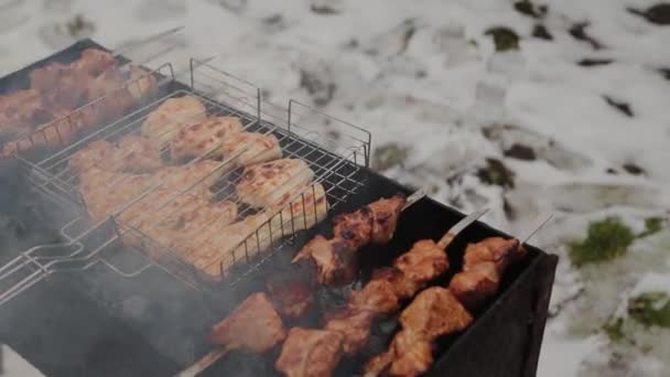 Процесс приготовления барбекю на огне в зимнюю погоду на фоне снега . — стоковое видео
