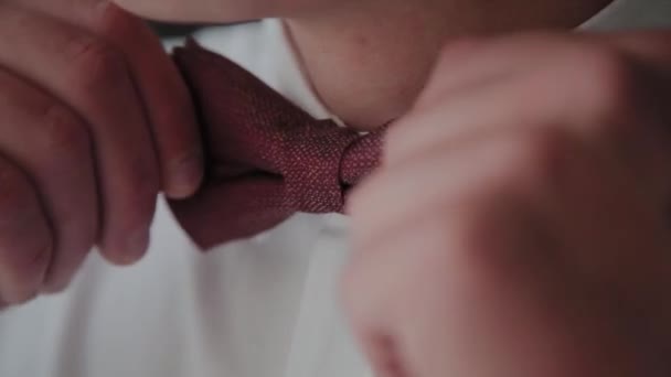 Stylish man straightens his bow-tie. — Stock Video