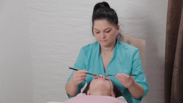 Mujer terapeuta de masaje hace masaje con cepillo facial al cliente . — Vídeo de stock