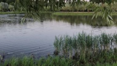 Akşamları güzel şehir gölü.