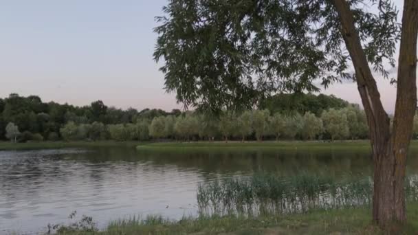 Schöner Stadtsee am Abend. — Stockvideo