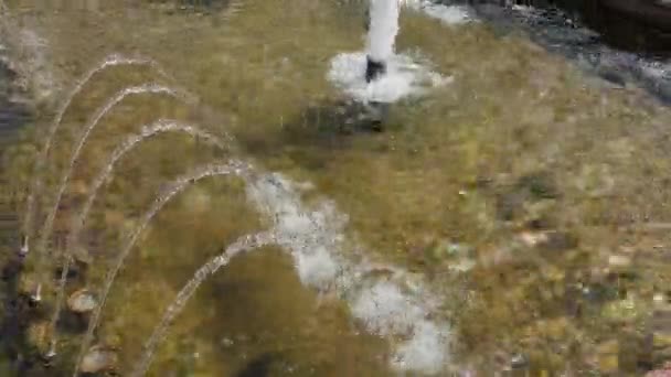 夏の美しい小さな噴水. — ストック動画