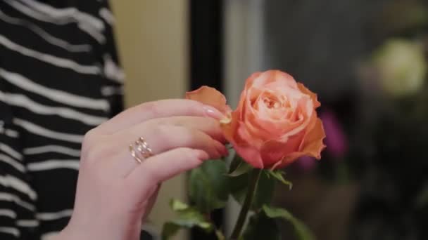 전문적 인 플로 리스트들은 꽃의 조합을 수집 한다. 국제 여성의 날을 위한 아름다운 꽃다발. — 비디오