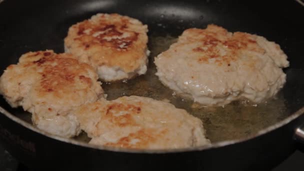 Las chuletas se fríen en una sartén. Burger Cutlets. — Vídeos de Stock