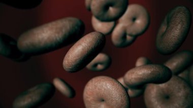 Coronavirus kan hücrelerini enfekte etti. Coronavirüs salgını.