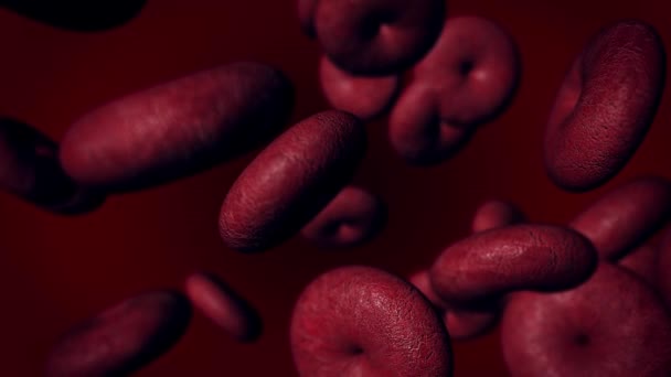 Коронавирус инфицировал клетки крови. Эпидемия коронавируса. — стоковое видео