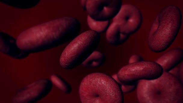 Coronavirus ha infettato le cellule del sangue. Epidemia di coronavirus. — Video Stock