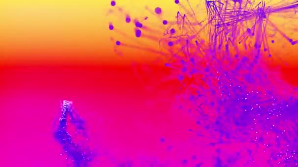 Lindas partículas em movimento em um fundo colorido. 4K fundo abstrato . — Vídeo de Stock
