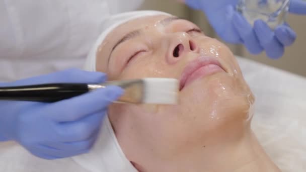 Esteticista profissional aplicando uma máscara facial a uma mulher . — Vídeo de Stock