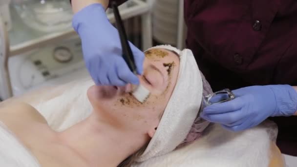 Professional beautician applying a face mask to a woman. — Stock Video