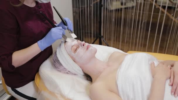 전문 미용사가 여자에게 얼굴 가리개를 사용하다. — 비디오