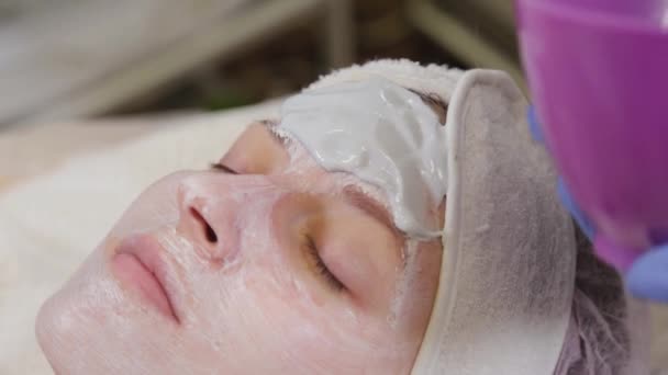 Esteticista profesional aplicando una mascarilla facial a una mujer . — Vídeos de Stock