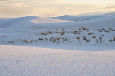 Beyaz dunes beyaz kum ve turist