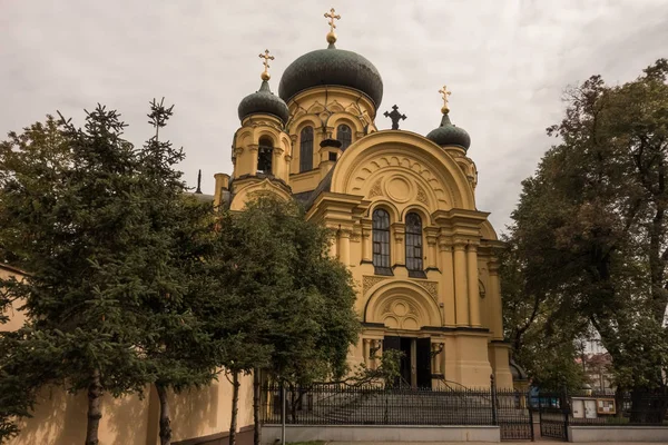 Metropolitan Cathedral van St. Maria Magdalena — Stockfoto