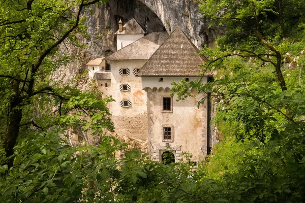 Predjama Castle vanuit het bos Rechtenvrije Stockfoto's