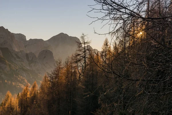 Friuli Venezia Giulia Alplerinde Altın Sonbahar — Stok fotoğraf