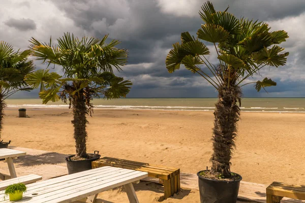 Ostend Beach — Stock fotografie
