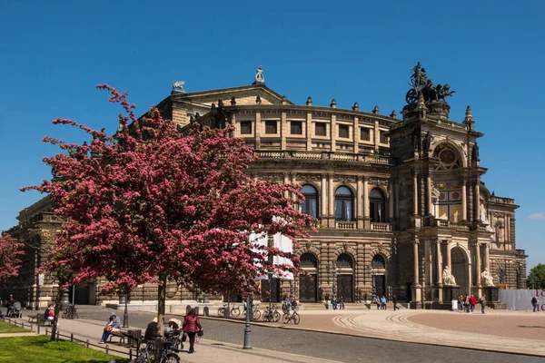 德国德累斯顿 2019年5月18日 萨克森州立歌剧院和萨克森州立管弦乐团的所在地 在春天里的一个阳光明媚的日子里 有一棵盛满红花的树 — 图库照片