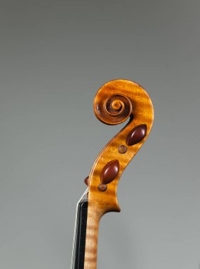 Violin head with curl clipart