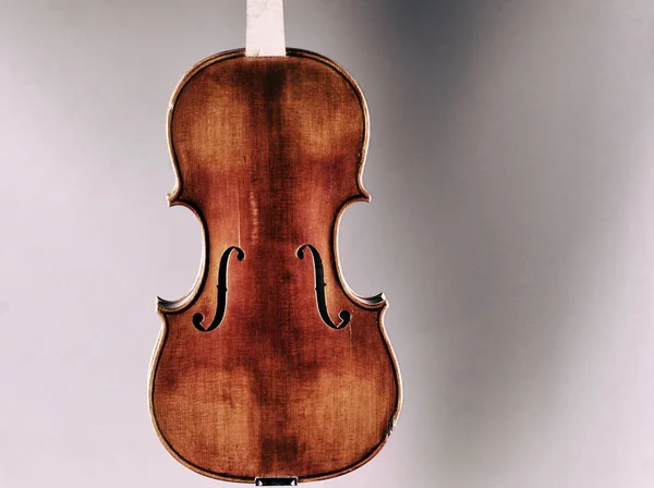 Testa di violino con ricciolo — Foto Stock