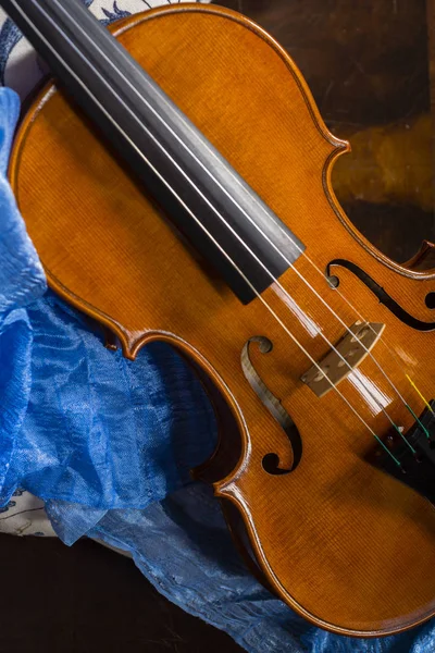 Violino composição de vida morta — Fotografia de Stock