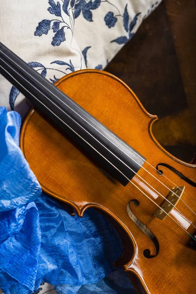 Violin stilleben sammansättning — Stockfoto