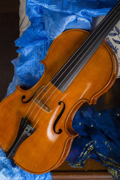 Violin stilleben sammansättning — Stockfoto