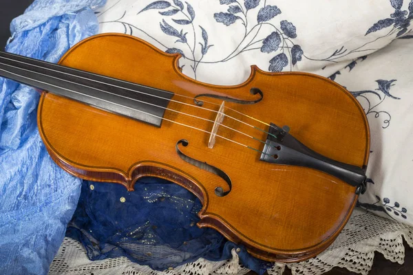 Violin stilleben sammansättning — Stockfoto