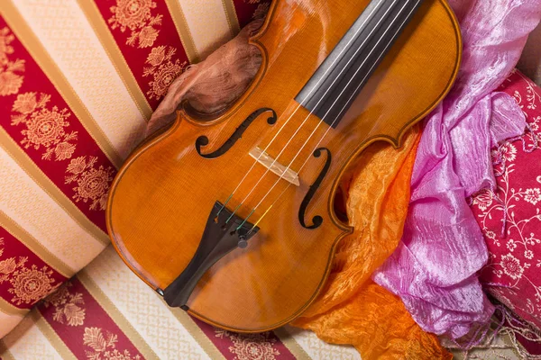 바이올린을 들고 살아가는 모습 — 스톡 사진