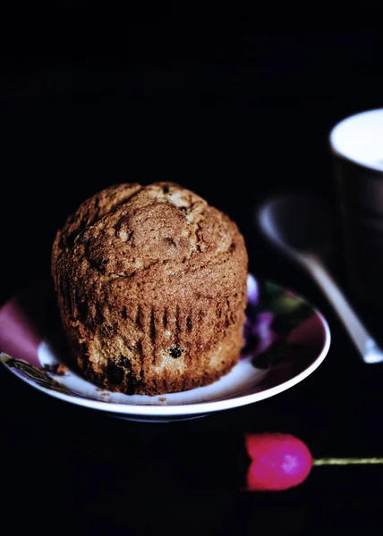 Gluten free muffin with dark chocolate beans — Stock Photo, Image