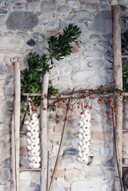 Sarımsak örgü kırsal bir bölgede, bir tahta sopa asılı.