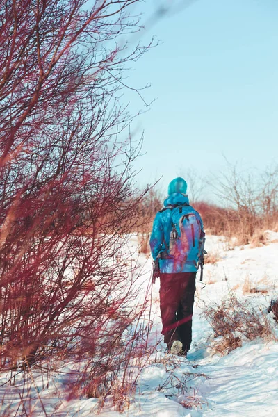 Мальчик, путешествующий по лугам зимой — стоковое фото
