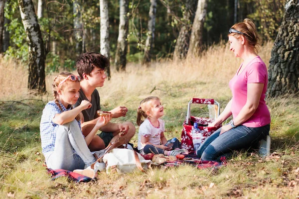 Family spending vacation time together having a snacks on a picn — Stock Photo, Image