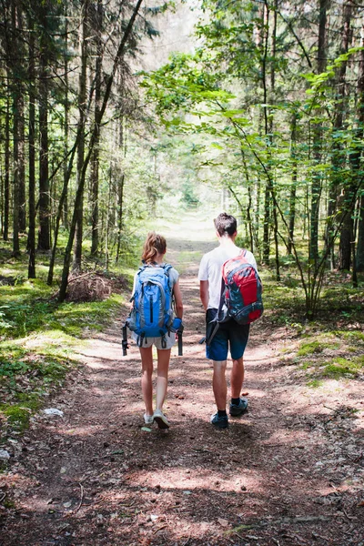 Мальчик и девочка бродят в лесу в летний день — стоковое фото
