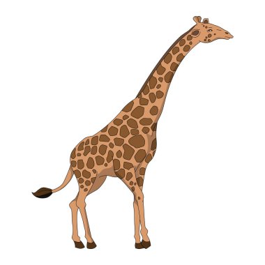 kahverengi renkli sevimli zürafa