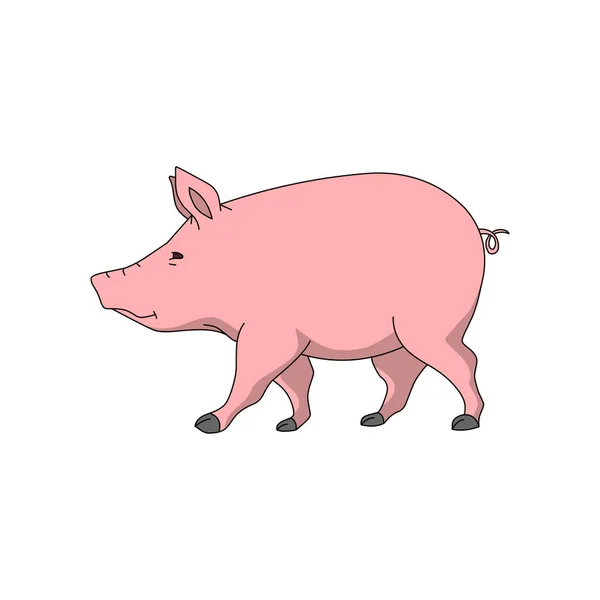 Un cerdo caminando con color rosa — Vector de stock