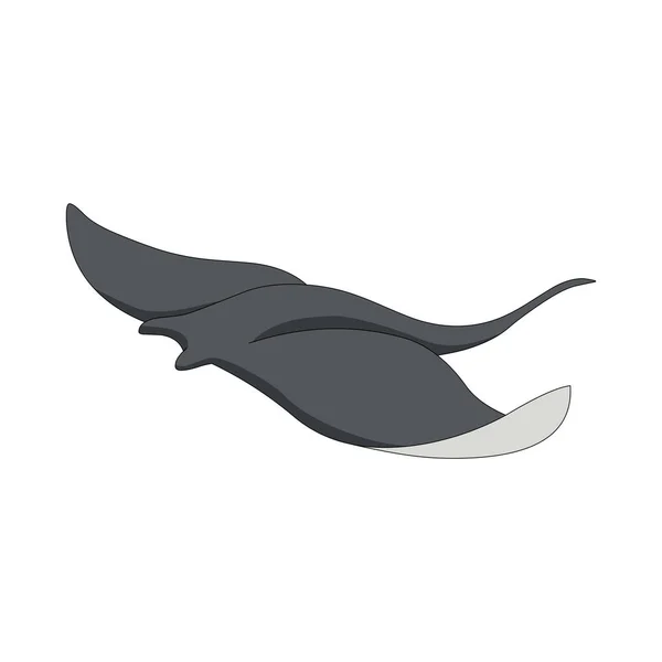 Swimming manta with grey color — Stock Vector