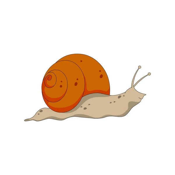 Schattig slak met oranje kleur — Stockvector