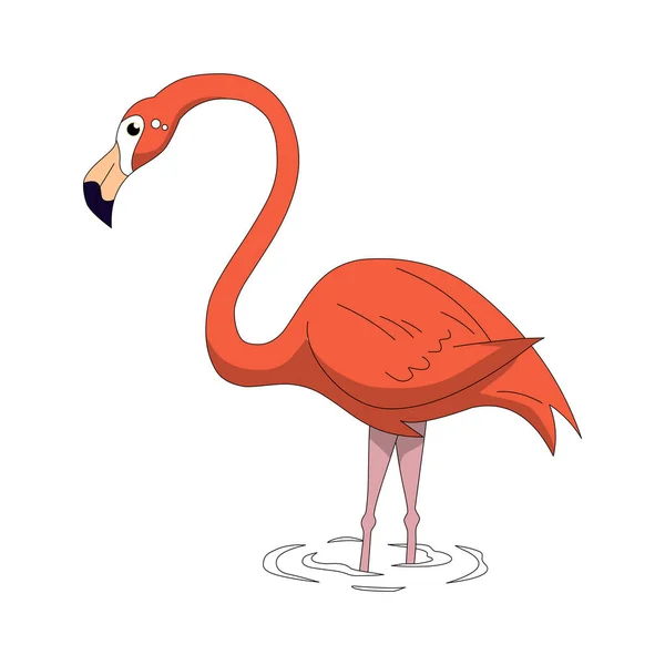 Een flamingo staande op de afbeelding van de water — Stockvector