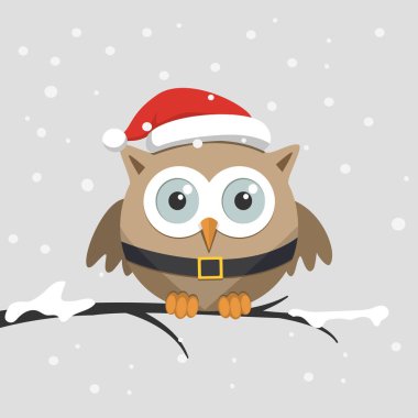 Santa Claus şapka ile Noel erkek baykuş