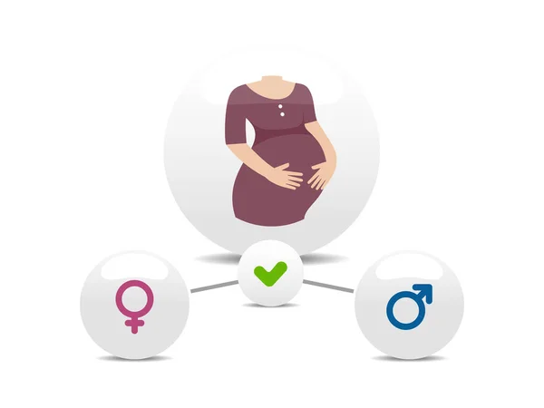 Une Femme Enceinte Infographies Avec Garçon Fille Illustration Vectorielle Plate — Image vectorielle